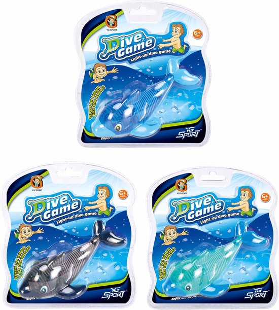 Plongée avec les dauphins et la lumière