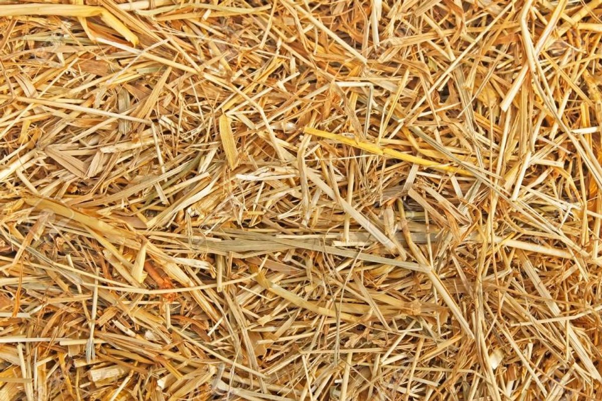 Eckhardt Stro 3,5 kilo (140 liter)