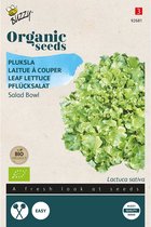 Pluksla 'Salad Bowl' Bio - Vers en Knapperig Groen voor Salades