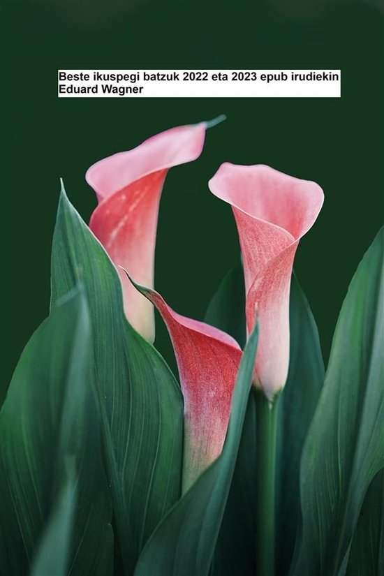 Beste ikuspegi batzuk 2022 eta 2023 epub irudiekin - cover