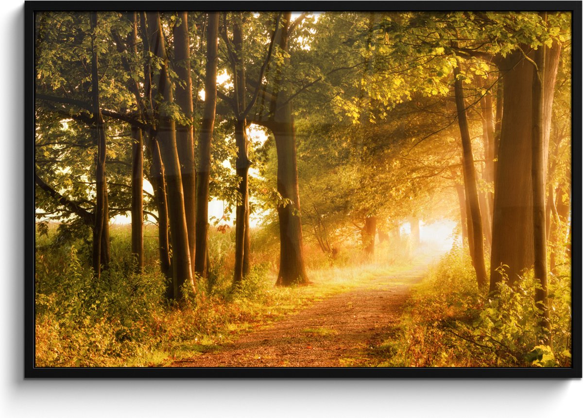 FrameYourWall Poster in lijst - Fotolijst 120x80 cm - Posters - Bos - Bomen - Zonlicht - Herfst - Bospad - Natuur - Posterlijst zwart - Decoratie - Wanddecoratie woonkamer - Muurdecoratie slaapkamer Groel