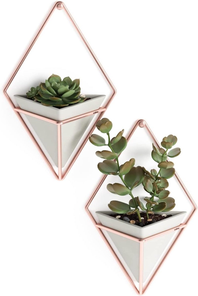 Plantenhanger set van 2 muurdisplay Umbra Trigg Beton koper