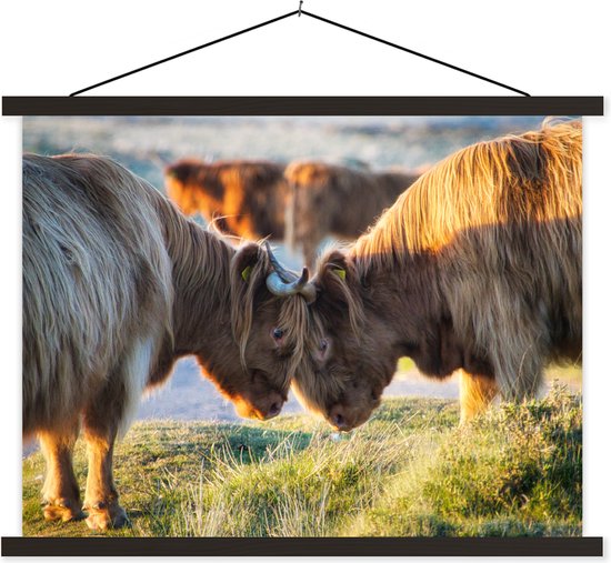 Scottish Highlanders in Dartmoor National Park affiche textielposter lattes noires 60x45 cm