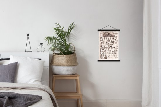 Porte-affiche avec affiche - Affiche scolaire - Animaux aquatiques - Animaux - Zwart - Wit - 40x60 cm - Lattes noires