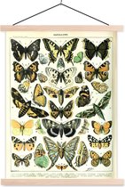 Porte-affiche avec affiche - Affiche scolaire - Animaux - Papillon - Jaune - 60x80 cm - lattes vierges