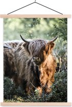 Porte-affiche avec affiche - Affiche scolaire - Highlanders écossais - Forêt - Animaux - 40x53 cm - lattes vierges