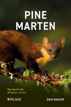 Pelagic Monographs- Pine Marten
