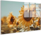 Tableau sur verre Tournesol - Tableau sur verre Champ de fleurs - Tableau sur Glas Feuilles - Tableau Classique - Tableau sur plexiglas - Accessoires de maison verre acrylique 105x70 cm