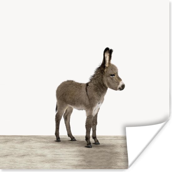 Poster kinderen - Poster dier - Schilderij kinderkamer - Ezel - Dieren - Kinderen - Lief - Schattig - Meisjes - Jongens - 50x50 cm
