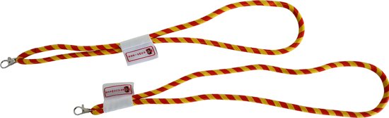 Lanyard