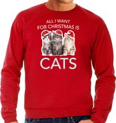 Kitten Kerstsweater / Kerst trui All I want for Christmas is cats rood voor heren - Kerstkleding / Christmas outfit M