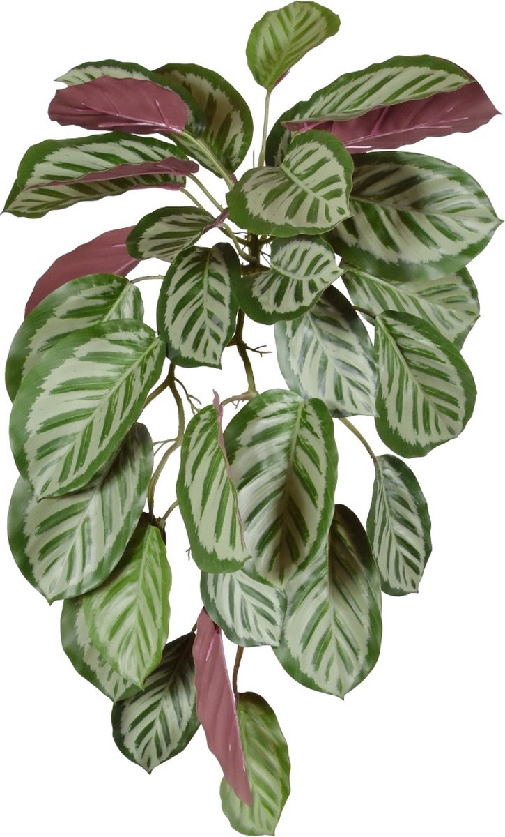 maxifleur Kunstplanten Calathea red Roseopicta kunst hangplant 70cm Rood