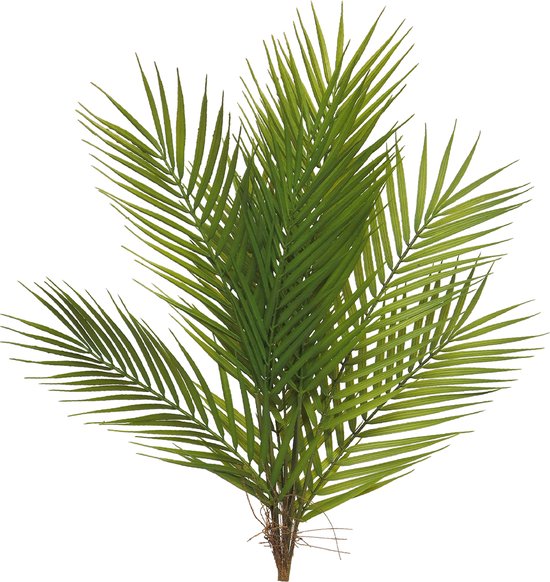 Gifts Amsterdam Kunstplant Areca Palm 60 Cm Zijde Groen