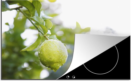 KitchenYeah® Inductie beschermer 80x52 cm - Close up of wet lime on branch - Kookplaataccessoires - Afdekplaat voor kookplaat - Inductiebeschermer - Inductiemat - Inductieplaat mat