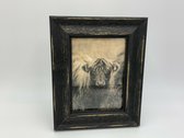 Fotolijst antiek zwart Schotse Hooglander maat L 25 x 20 cm | 121267 | Home Sweet Home | Stoer & Sober Landelijke Woonstijl