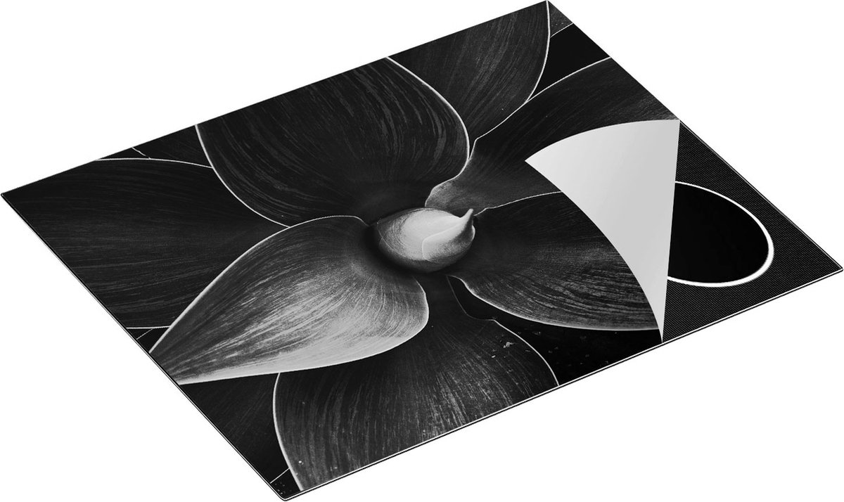 Chefcare Inductie Beschermer Blauwe Agave Plant - Bloem - Zwart Wit - 65x50 cm - Afdekplaat Inductie - Kookplaat Beschermer - Inductie Mat
