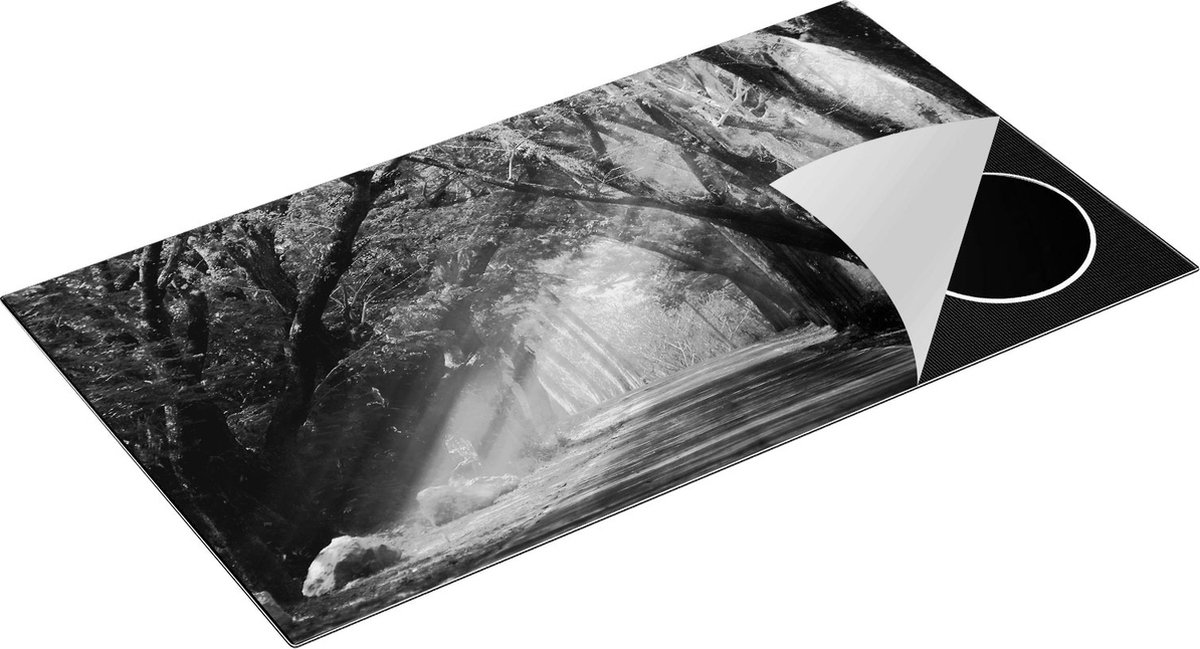 Chefcare Inductie Beschermer Weg Omringd met Bomen - Zwart Wit - 95x55 cm - Afdekplaat Inductie - Kookplaat Beschermer - Inductie Mat