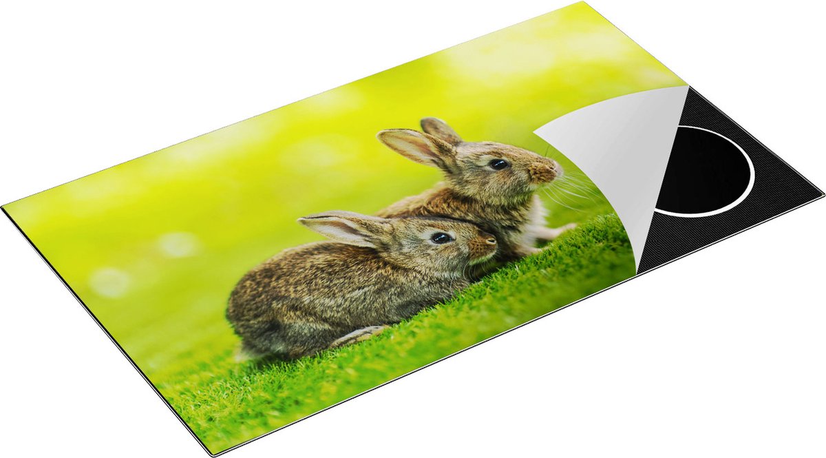 Chefcare Inductie Beschermer Twee Konijnen op het Groene Gras - 91,6x52,7 cm - Afdekplaat Inductie - Kookplaat Beschermer - Inductie Mat