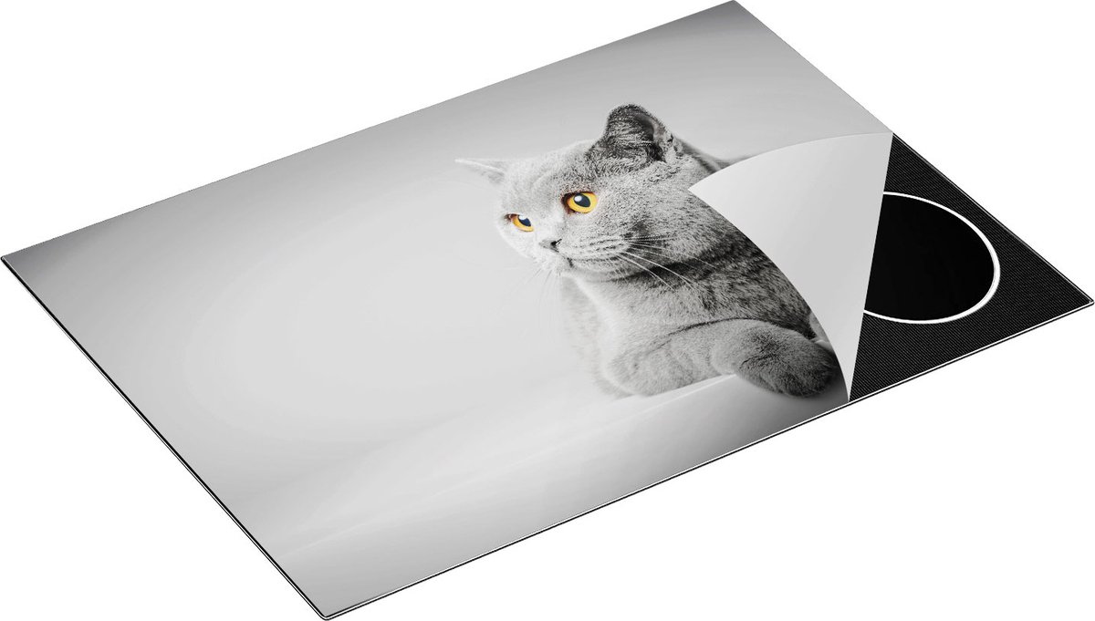 Chefcare Inductie Beschermer Grijze Kat met Oranje Ogen - 75x50 cm - Afdekplaat Inductie - Kookplaat Beschermer - Inductie Mat