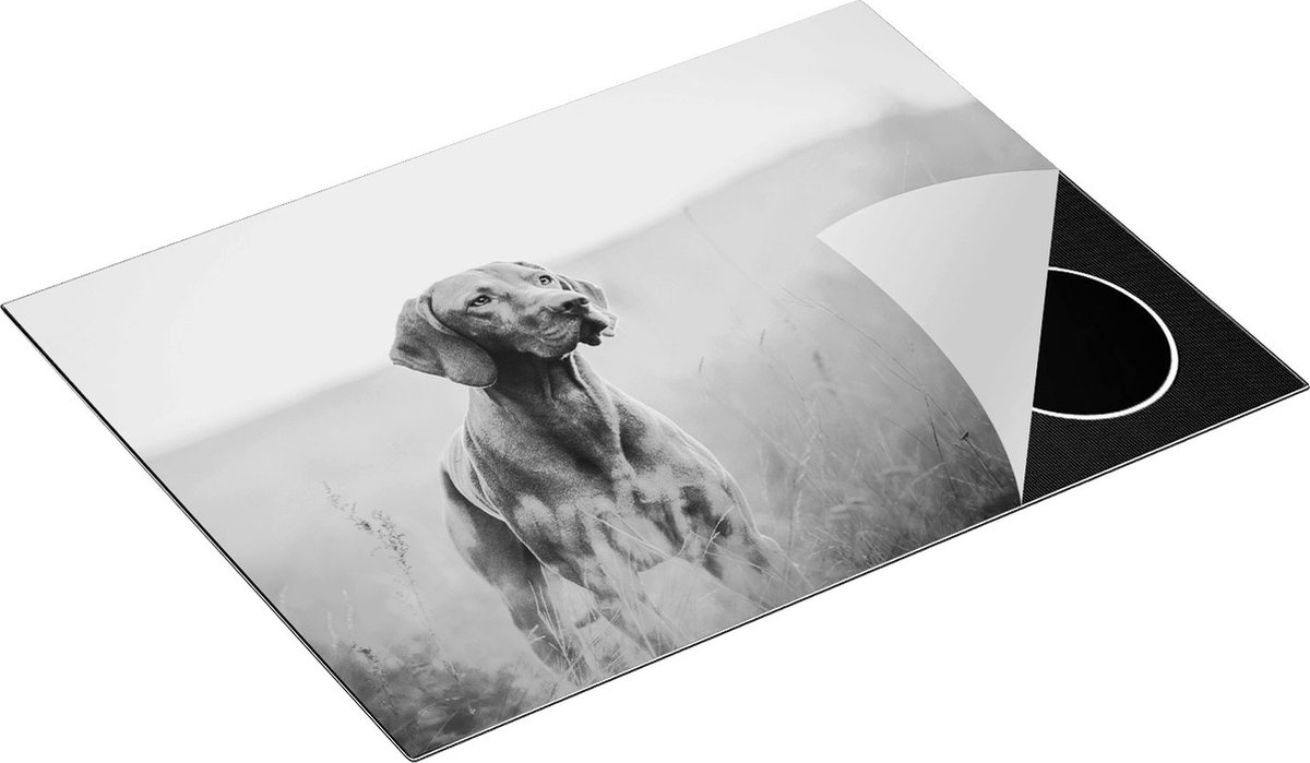 Chefcare Inductie Beschermer Hongaarse Vizsla Hond in het Gras - Zwart Wit - 70x52 cm - Afdekplaat Inductie - Kookplaat Beschermer - Inductie Mat