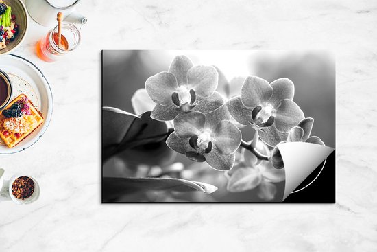 Chefcare Inductie Beschermer Roze Orchidee Bloemen - Zwart Wit - 80x50 cm - Afdekplaat Inductie - Kookplaat Beschermer - Inductie Mat