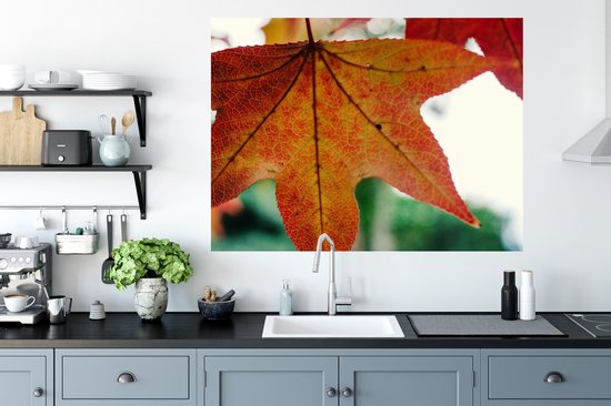 Stickers Stickers muraux - Automne - Rural - Feuilles - Saisons - Rural - 120x90 cm - Feuille adhésive