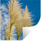 Stickers muraux - Plantes - Herbe de la pampa - Air - 120x120 cm - Feuille adhésive XXL