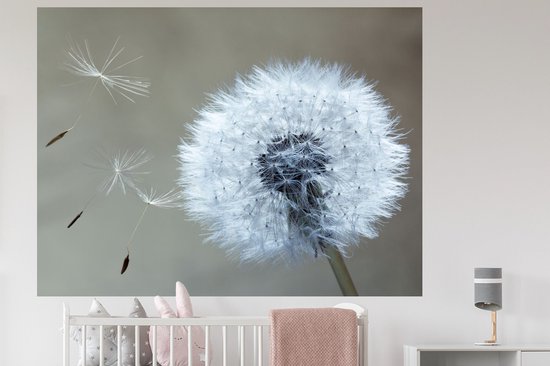 Stickers muraux - Film autocollant - Pissenlit - Bloem - Plante - 160x120 cm - Film adhésif - Stickers muraux Chambre d'enfant - Papier peint autocollant XXL