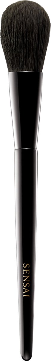 Goedkoopste Brush Cheek Kanebo Black