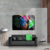Luxe Plexiglas Schilderij Olifant | 40x60 | Woonkamer | Slaapkamer | Kantoor | Muziek | Design | Art | Modern | ** 5MM DIK**