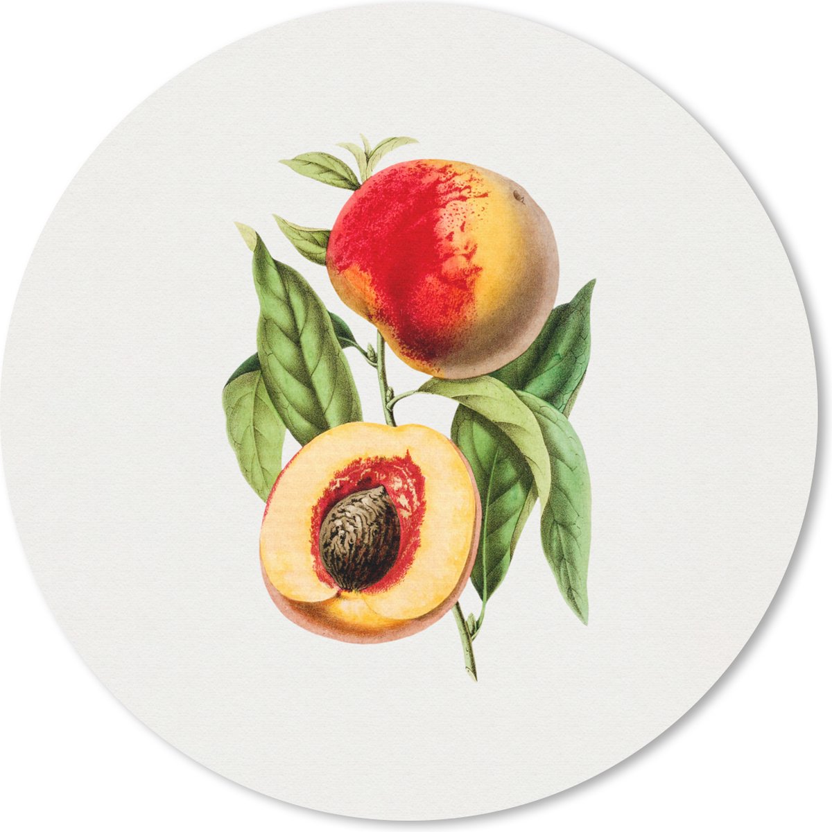 Muismat rond 20x20 cm - Mousepad Perzik - Fruit - Bladeren - Ronde muismatten