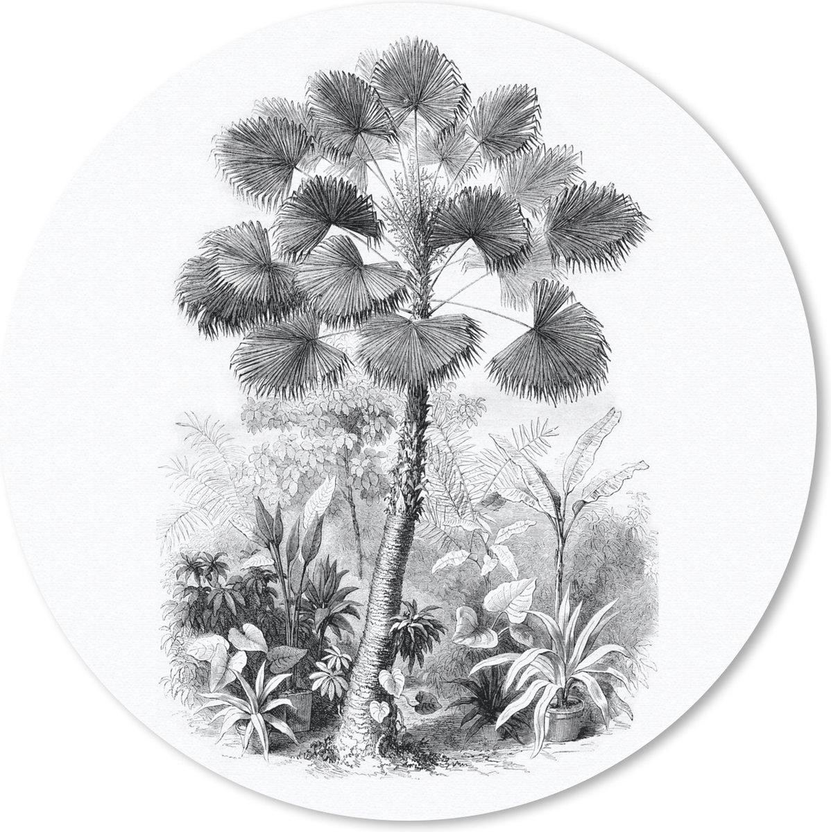 Muismat rond 20x20 cm - Mousepad Design - Natuur - Boom - Ronde muismatten