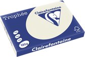 Clairefontaine Trophée Pastel A3 parelgrijs 120 g 250 vel