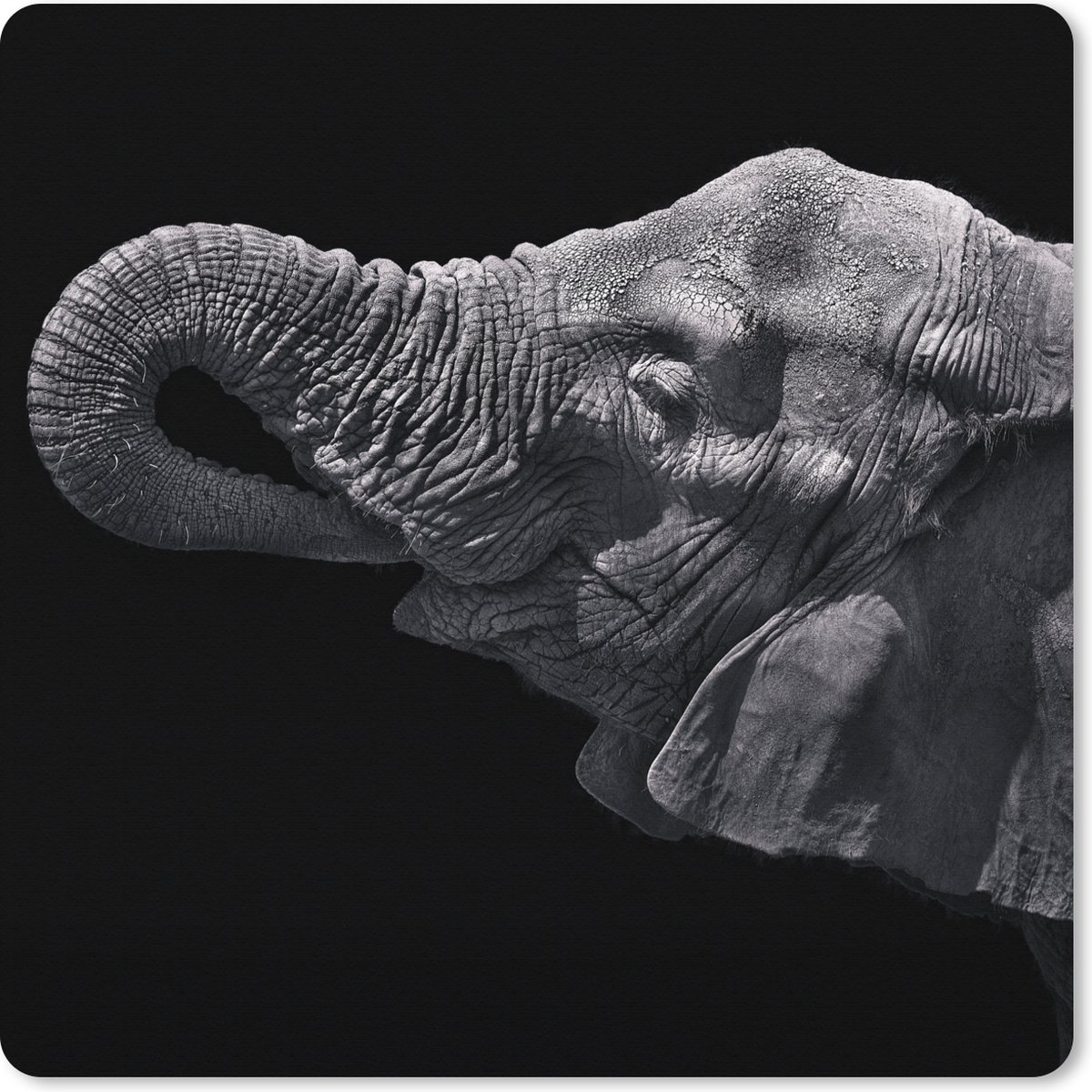 Muismat XXL 50x50 cm - Bureau onderlegger - Bureau mat Olifant - Dieren - Zwart - Natuur - Bureaumat - Gaming mousepad xl - Bureaulegger groot - Computer deskmat