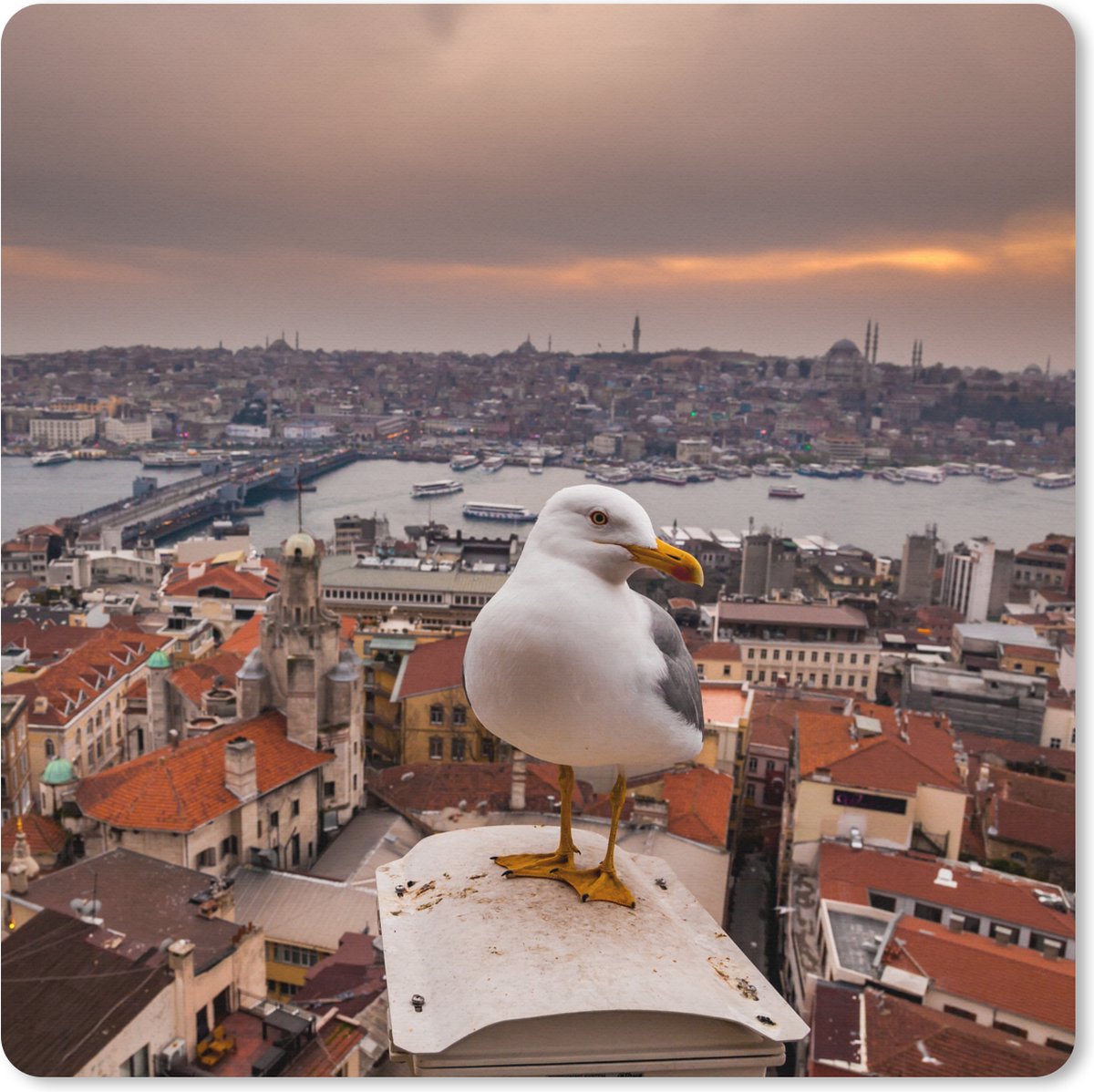 Muismat XXL 80x80 cm - Bureau onderlegger - Bureau mat Meeuw - Istanbul - Architectuur - Bureaumat - Gaming mousepad xl - Bureaulegger groot - Computer deskmat