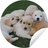 Tuincirkel Puppy - Gras - Hond - 60x60 cm - Ronde Tuinposter - Buiten