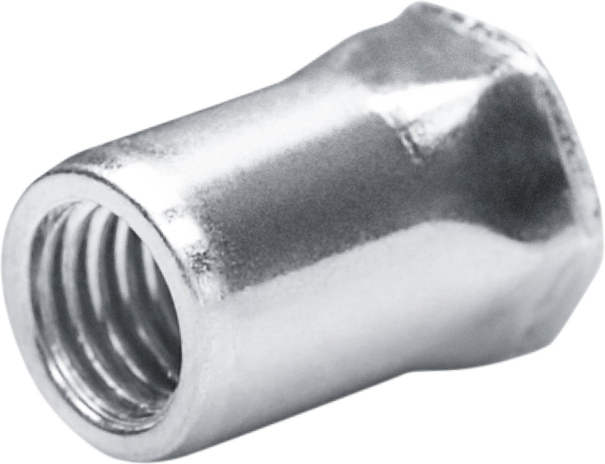 GOEBEL® - 250 x Blindklinkmoeren M 4 - Staal [ AISI 1008 ] Verzinkt (Ø x L) 6,0 mm x 12,0 mm - Klein verzonken kop Deelszeskant schacht - Schacht einde Open - GO-NUT - 7550402200 - Linkmoeren - Klinkmoeren - Blindmoeren