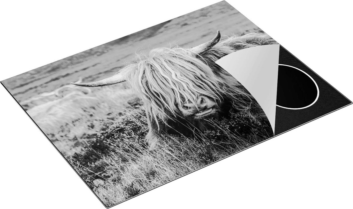 Chefcare Inductie Beschermer Harige Schotste Hooglander Koe in het Gras - Zwart Wit - 77x59 cm - Afdekplaat Inductie - Kookplaat Beschermer - Inductie Mat