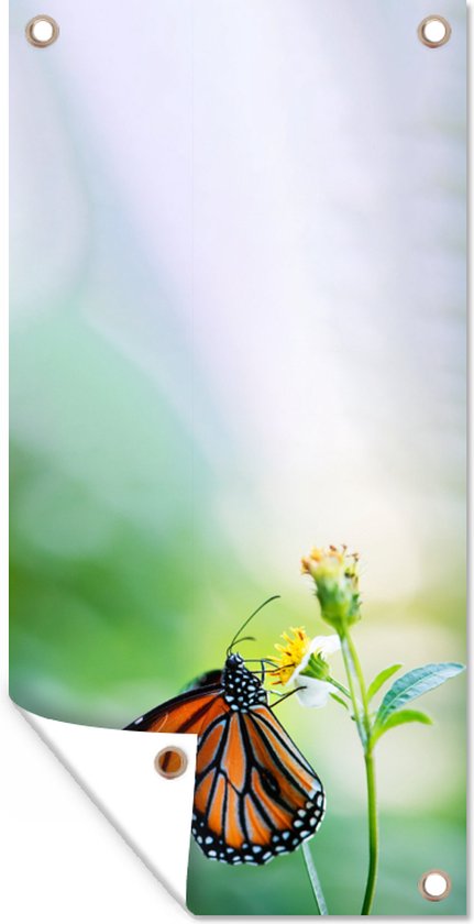 Tuinposter - Lente - Bloemen - Vlinders - Geel - Licht - Schuttingdoek - 30x60 cm - Tuindoek - Tuindecoratie