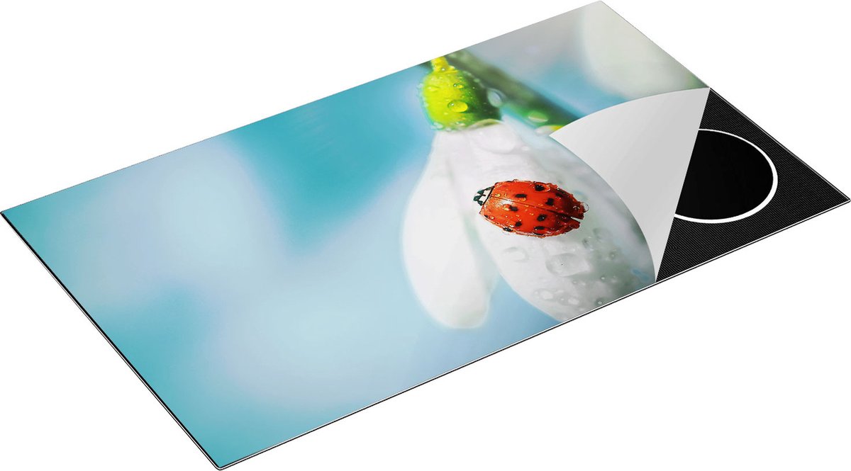 Chefcare Inductie Beschermer Lieveheersbeestje op een Sneeuwklokje Bloem - 90x50 cm - Afdekplaat Inductie - Kookplaat Beschermer - Inductie Mat