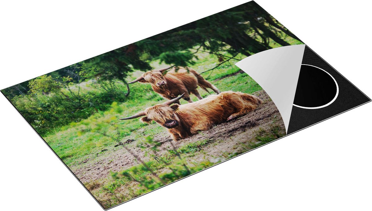 Chefcare Inductie Beschermer Twee Schotse Hooglanders in de Bossen - 80x55 cm - Afdekplaat Inductie - Kookplaat Beschermer - Inductie Mat