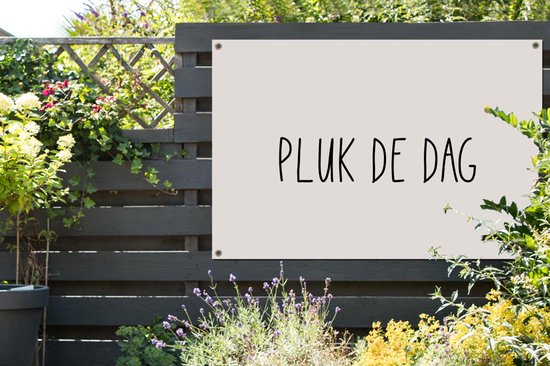 Poster de jardin Texte - Décoration de jardin - Taupe - Couleur sable - Citations - Carpe Diem - Saisir le jour - 120x80 cm - Toile de clôture - Toile de jardin