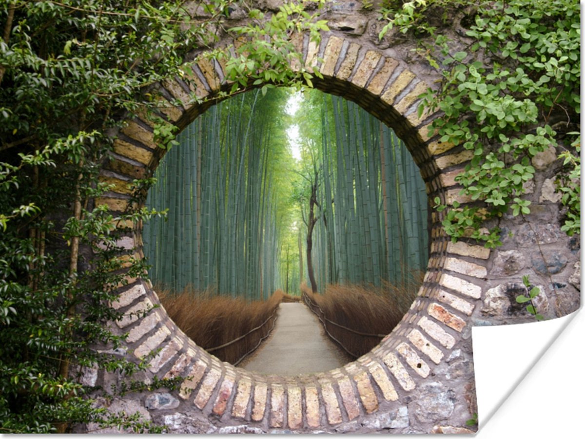 Poster Bamboe - Bos - Japans - Doorkijk - 80x60 cm