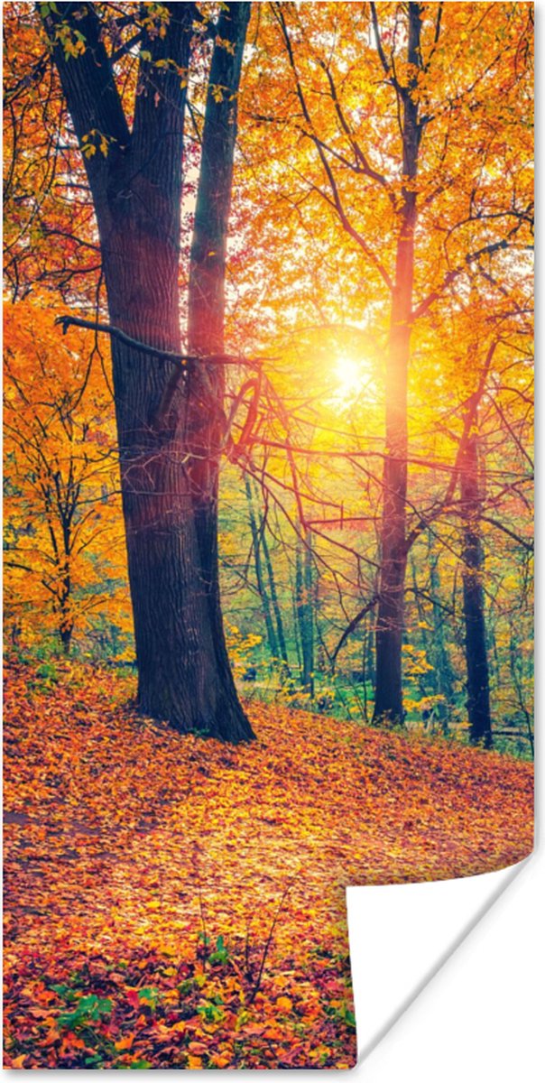 Poster Bomen - Herfst - Bos - Herfstbladeren - 40x80 cm
