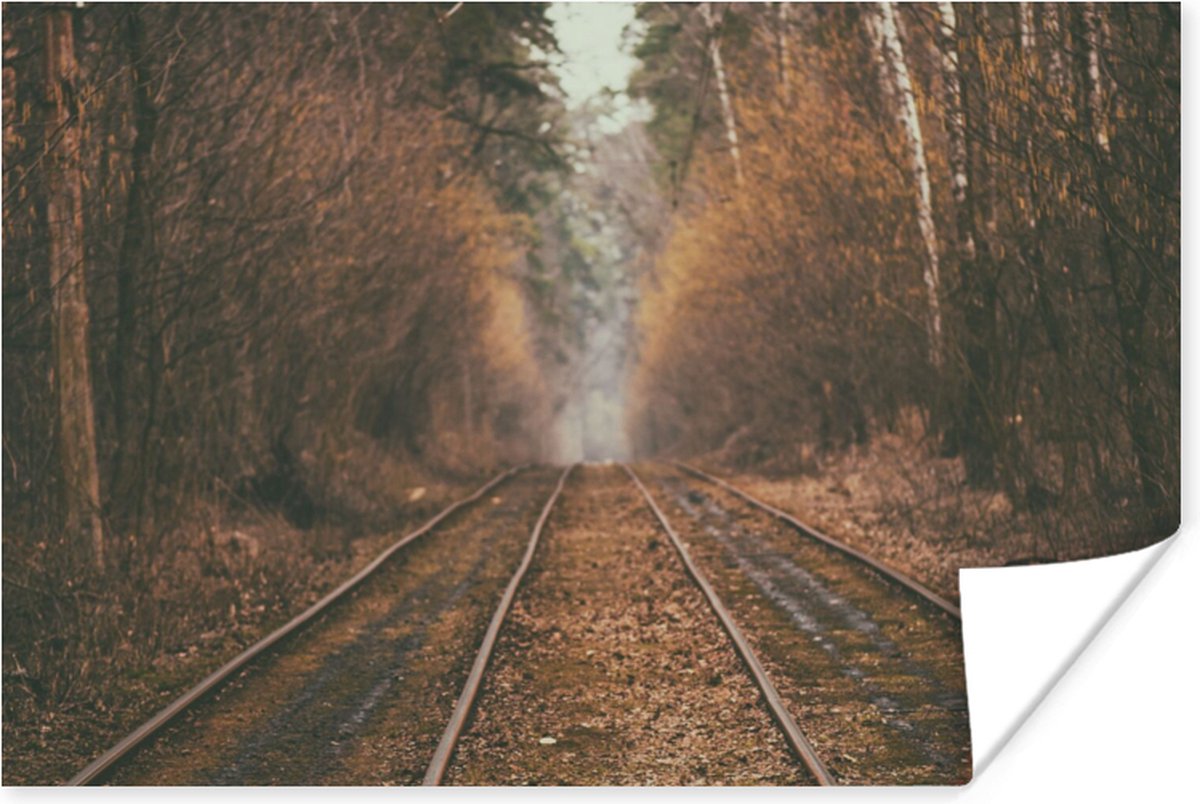 Poster Treinspoor - Pad - Bos - Boom - 30x20 cm