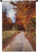 Tapisserie - Tapisserie - Automne - Feuilles d'automne - Chemin - Forêt - 120x180 cm - Tapisserie