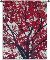 Tapisserie - Esdoorn - Érable - Feuilles - Automne - Nature - 90x120 cm - Tapisserie