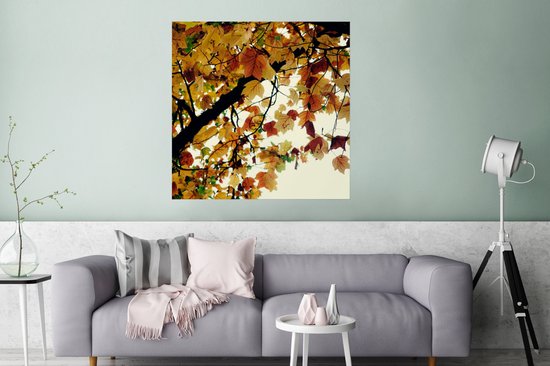 Poster Arbres - Feuilles d'automne - Nature - 75x75 cm