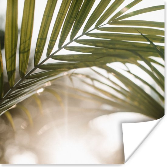 Posters Strand | Leuke strandposters voor een goede prijs