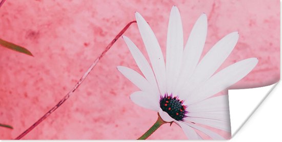 Affiche Fleurs - Rose - Vintage - 120x60 cm